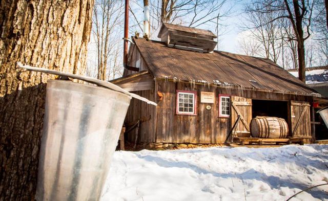 Cabane à sucre — photo 1